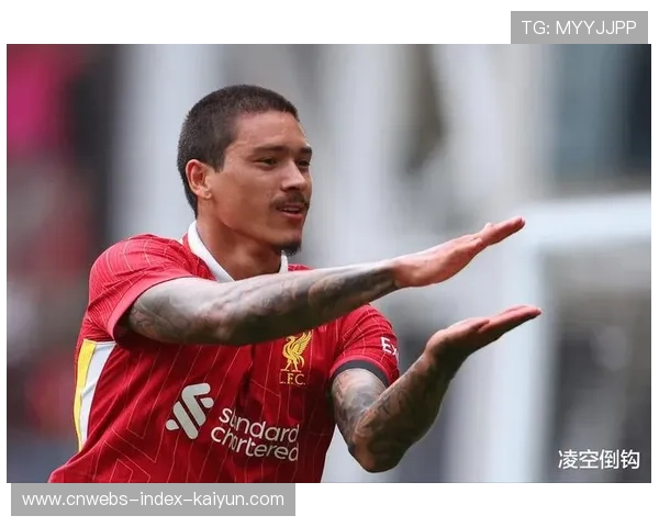 利物浦努涅斯禁区外弹射得分 利物浦努涅斯禁区外弹射得分